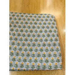 Pista Green Straight Long Kurti