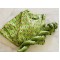 Green Ikkat full Suit Set